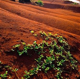 《赛博朋克2077》次世代版预告 1.5版现已上线