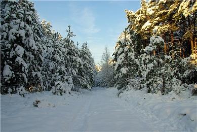 《真三国无双：起源》6分钟游戏特色导览宣传片