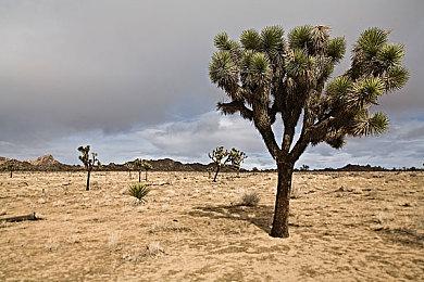 《迪士尼传奇米奇：Rebrushed》实机演示 9月24日发售